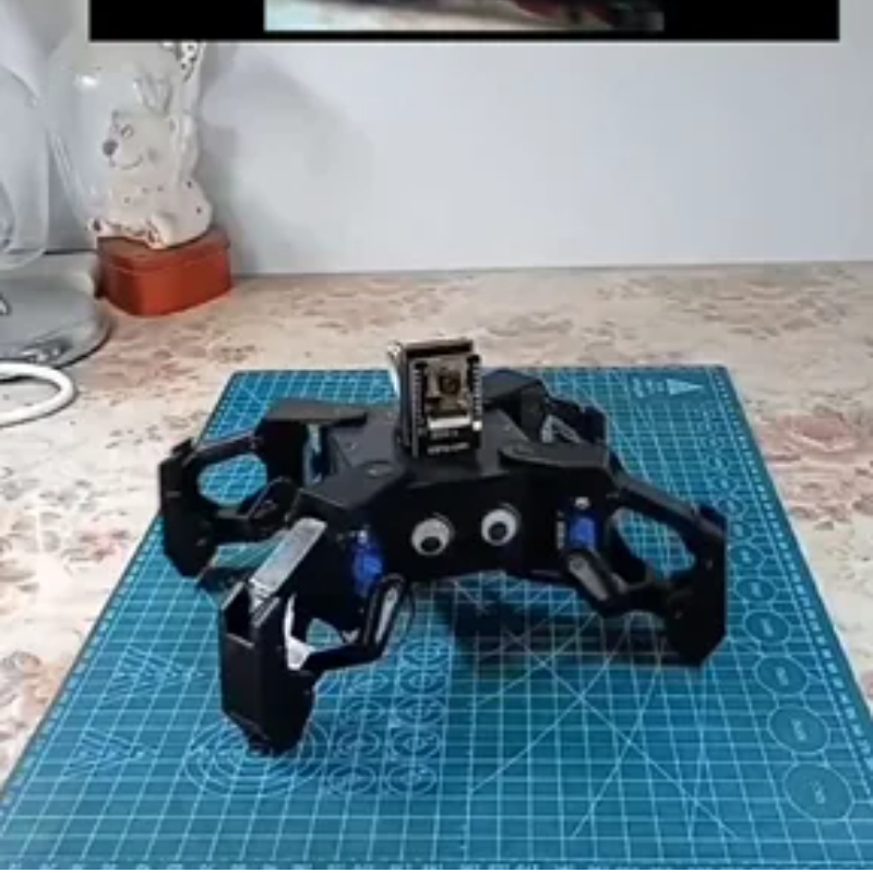 SG90 Video Robot Spider mit Ka – Esp8266 Bewertung und Preis
